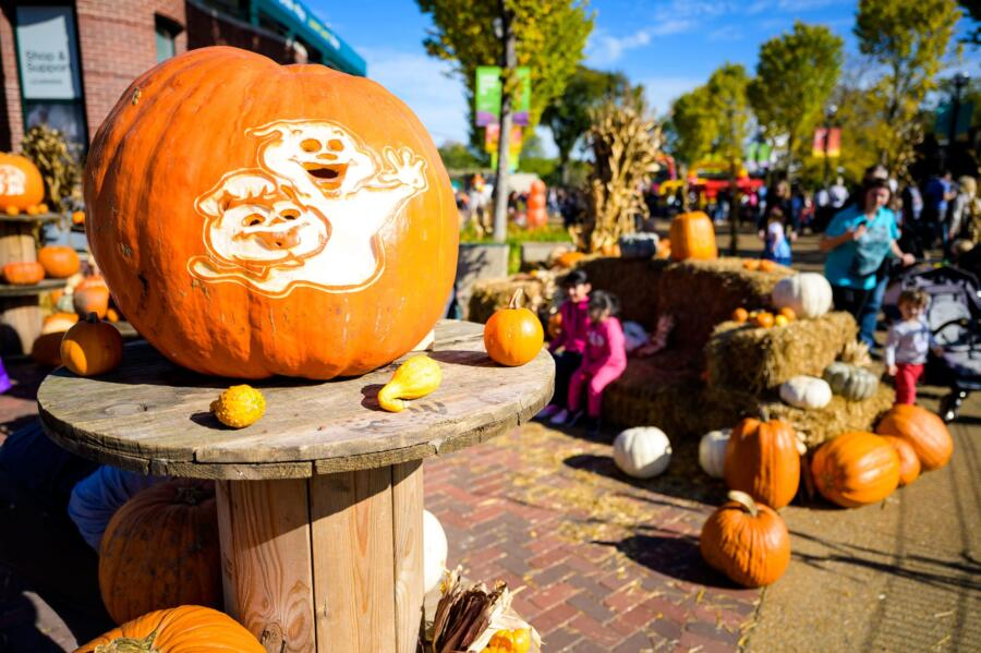 Best places to visit for Halloween with family